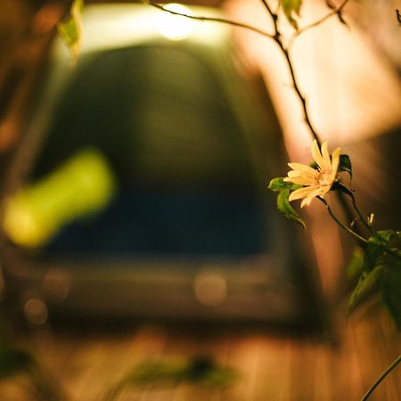 Tram Homestay Thon An Hoa 외부 사진